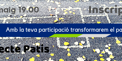 PROJECTE PATIS