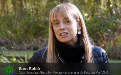 PREMI ESCOLES VERDES 2020