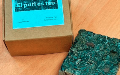 EL PATI ÉS TEU
