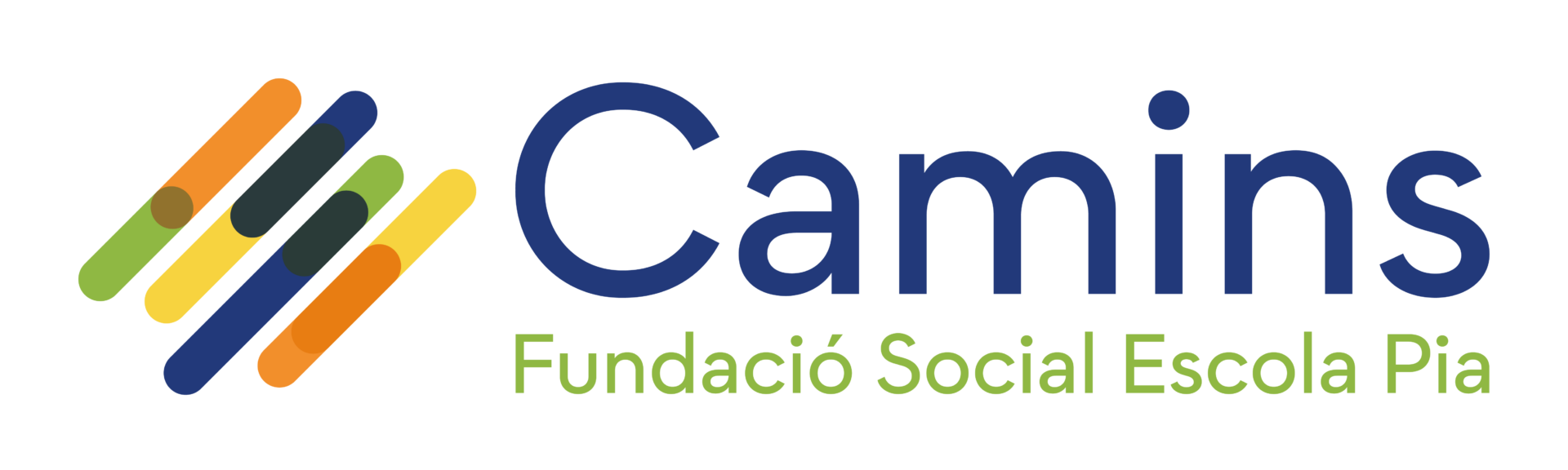 Logo_CAMINS_1